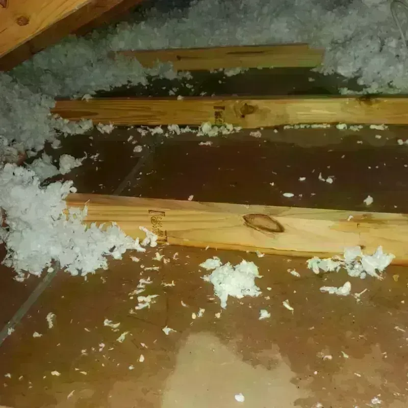 Attic Water Damage in Fairfield Bay, AR